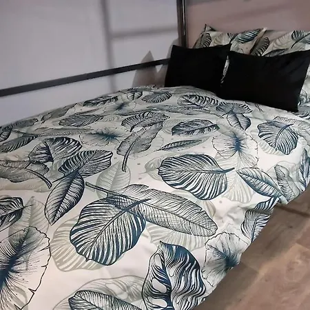 Travail, Chill Et Visite Au Centre De Colmar! Appartement Colmar