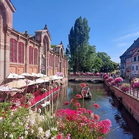 Travail, Chill Et Visite Au Centre De Colmar!