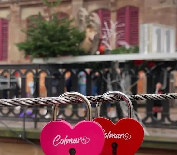 Travail, Chill Et Visite Au Centre De Colmar! Apartment Colmar