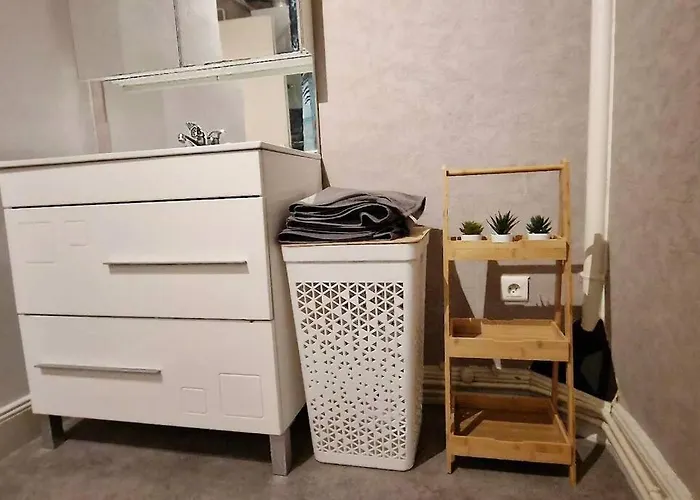 Travail, Chill Et Visite Au Centre De Colmar! Appartamento Colmar