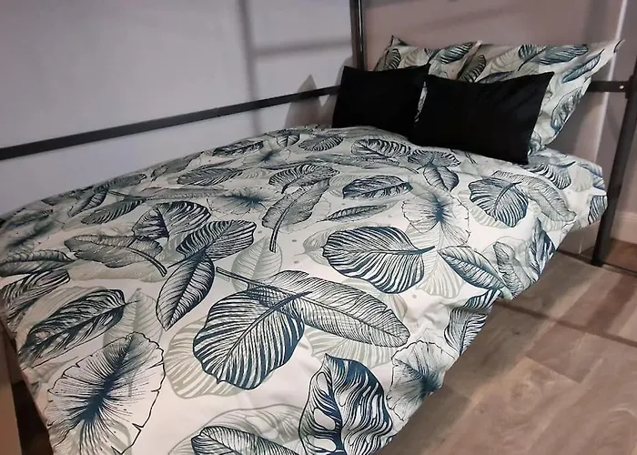 Travail, Chill Et Visite Au Centre De Colmar! Apartment Colmar